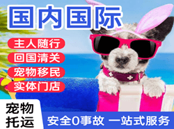 鸡西机场货运国际宠物托运 【国